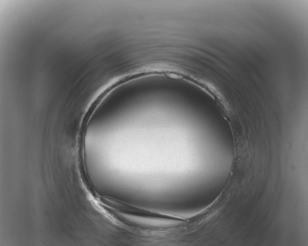 X0000081461134200701191733
