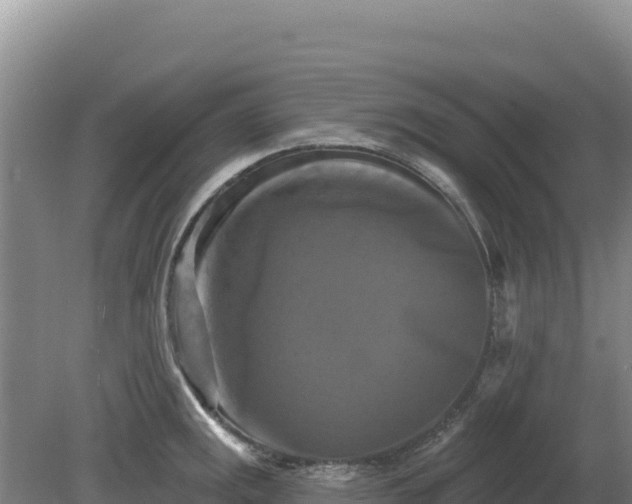 X0000081461141200701191733