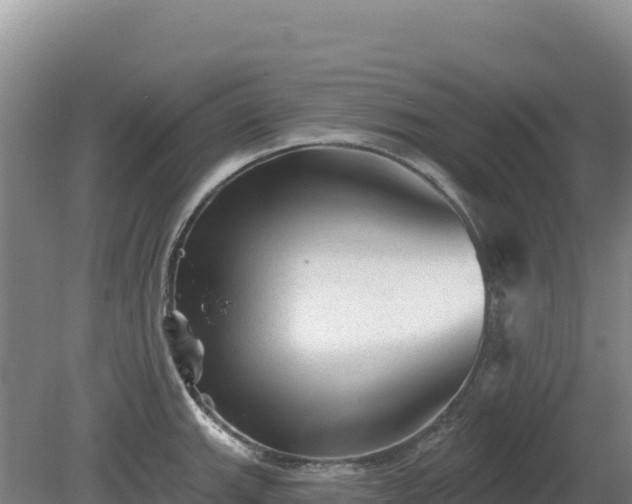 X0000081461143200701191733