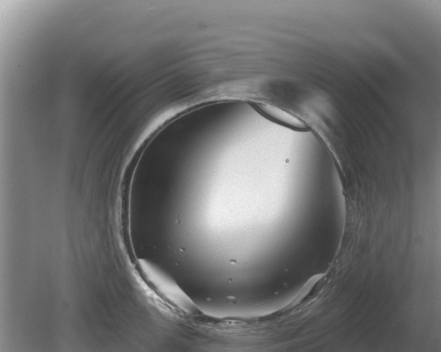 X0000081461147200701191733