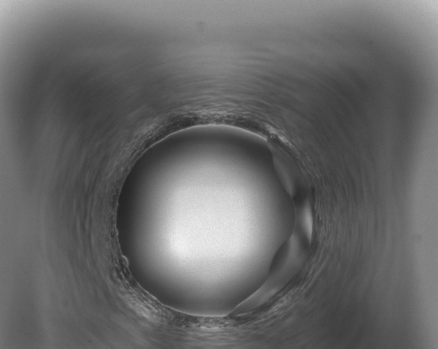X0000081461153200701191732