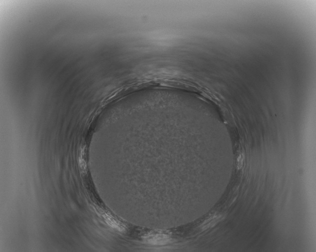 X0000081461156200701191732