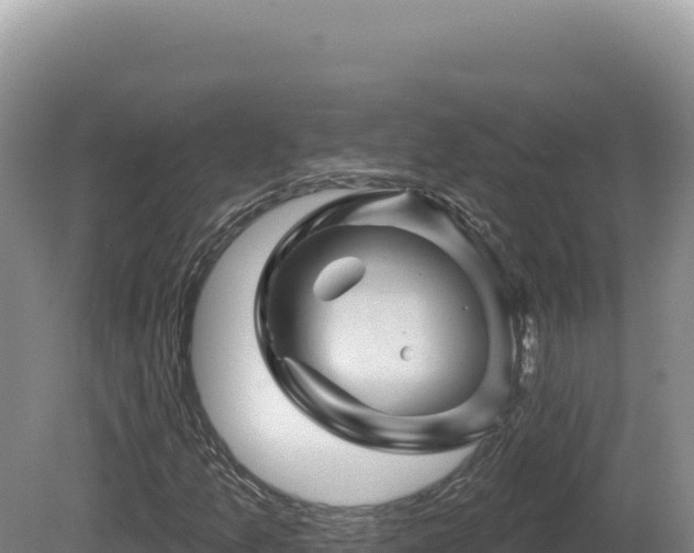 X0000081461157200701191732