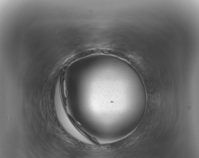 X0000081461159200701191732