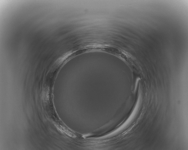 X0000081461161200701191732