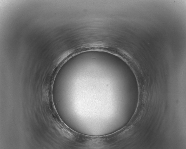 X0000081461162200701191732