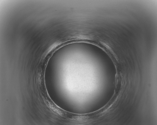 X0000081461163200701191732