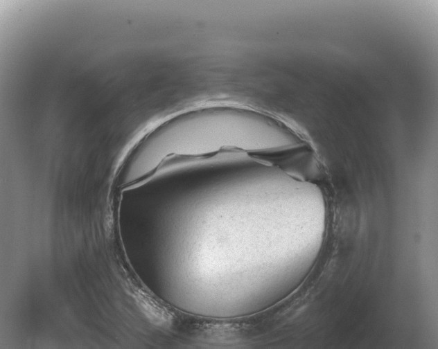 X0000081461167200701191732