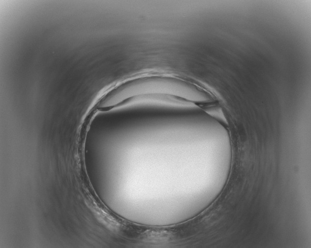X0000081461168200701191732