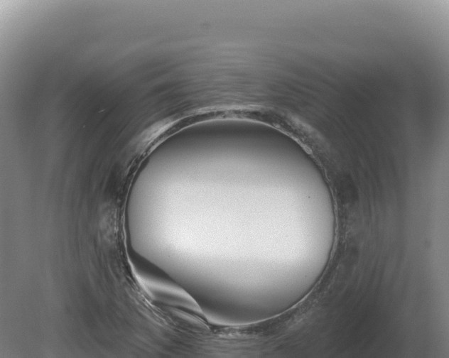 X0000081461169200701191732