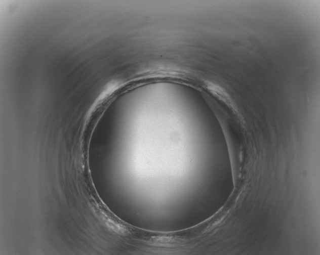 X0000081461172200701191732