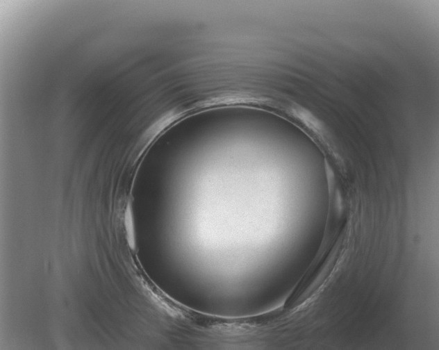 X0000081461185200701191732