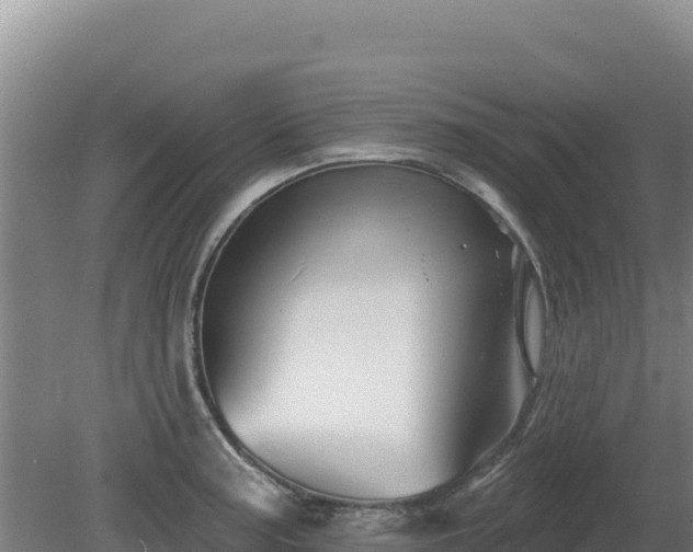 X0000081461187200701191732