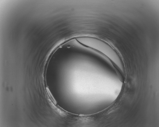 X0000081461189200701191732