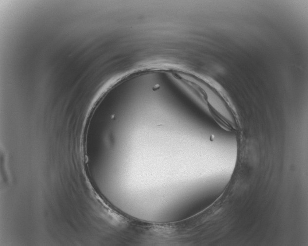 X0000081461191200701191732