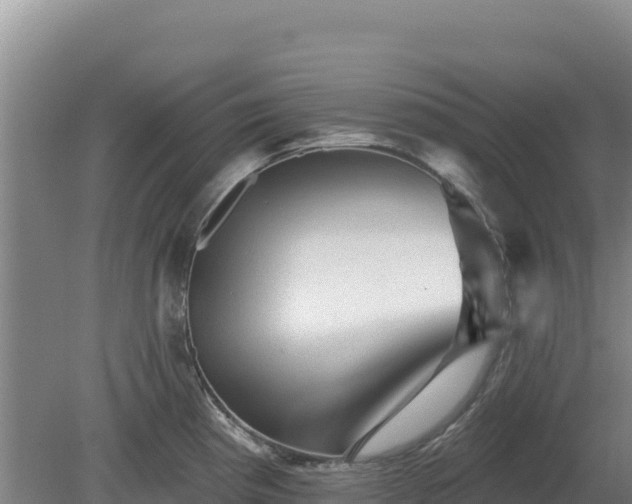 X0000081461193200701191732