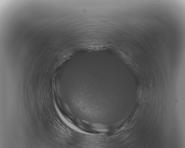 X0000081461202200701191731