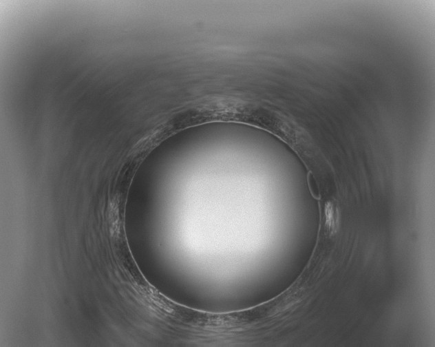X0000081461203200701191731