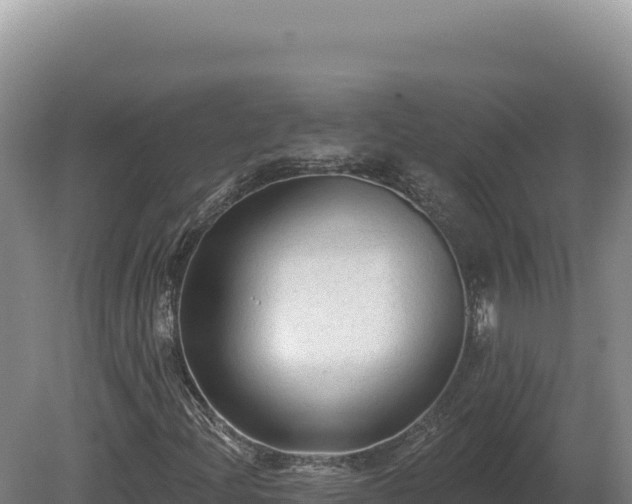X0000081461204200701191731