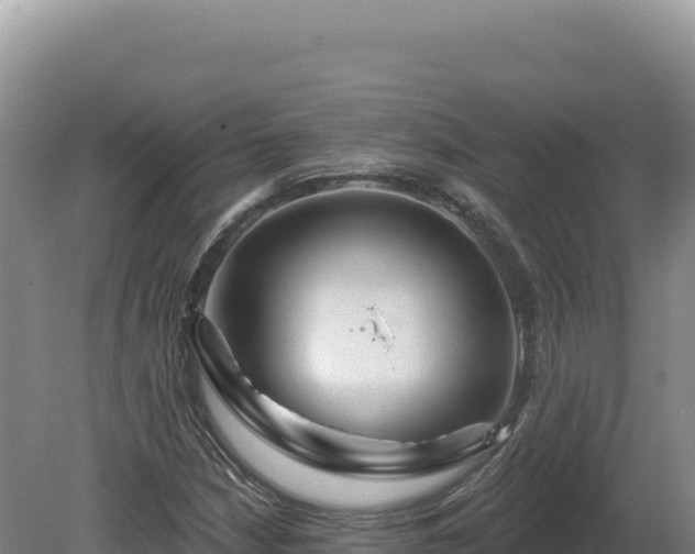 X0000081461210200701191731