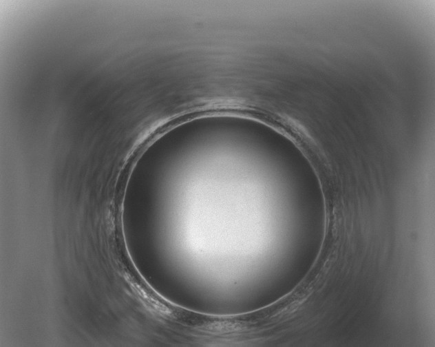 X0000081461212200701191731