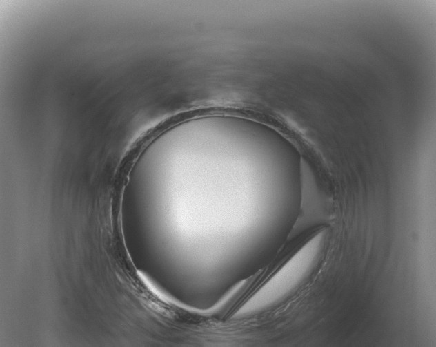 X0000081461214200701191731