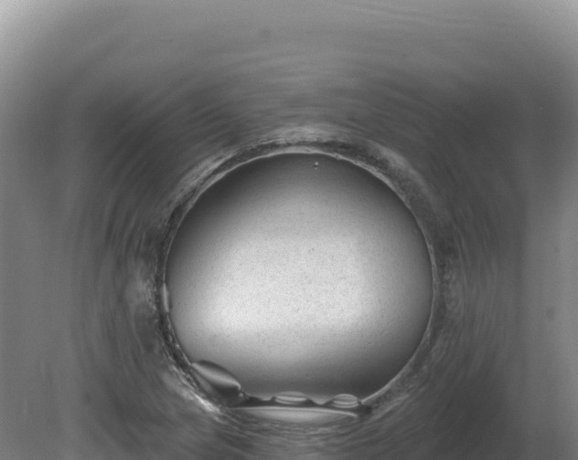 X0000081461217200701191731
