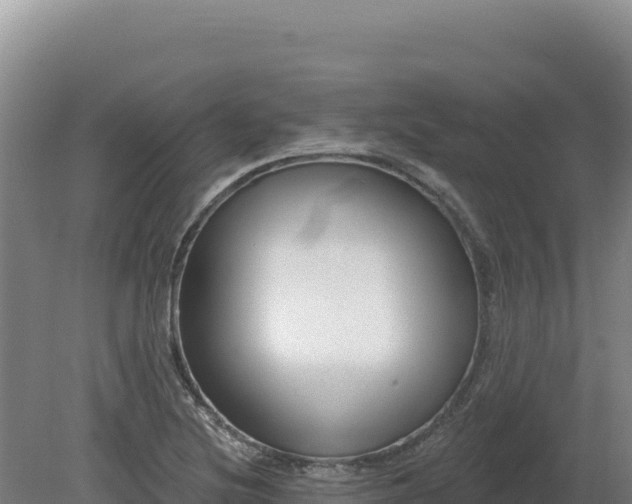 X0000081461220200701191731