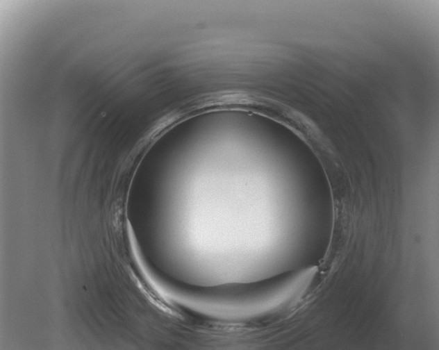 X0000081461225200701191731