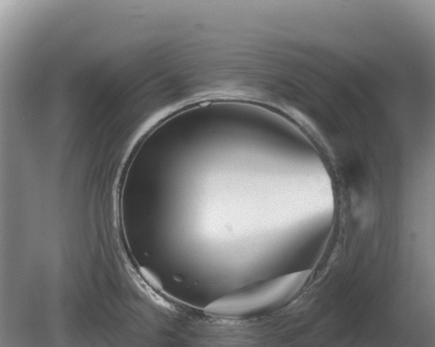 X0000081461238200701191731