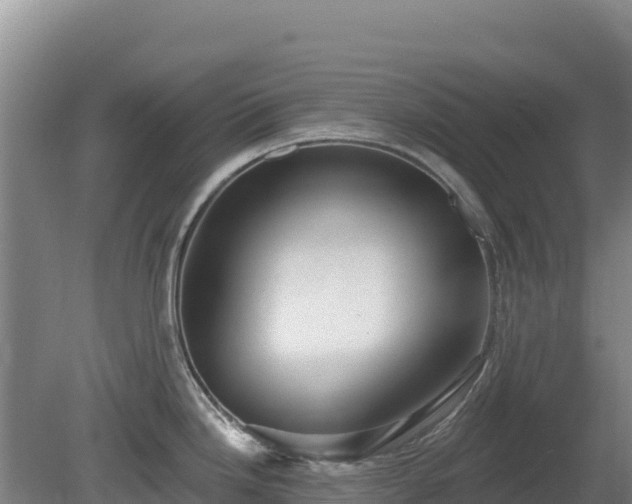 X0000081461246200701191731