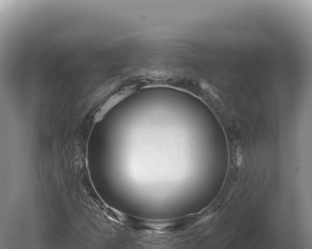X0000081461253200701191731