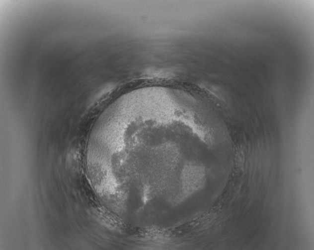 X0000081461254200701191731