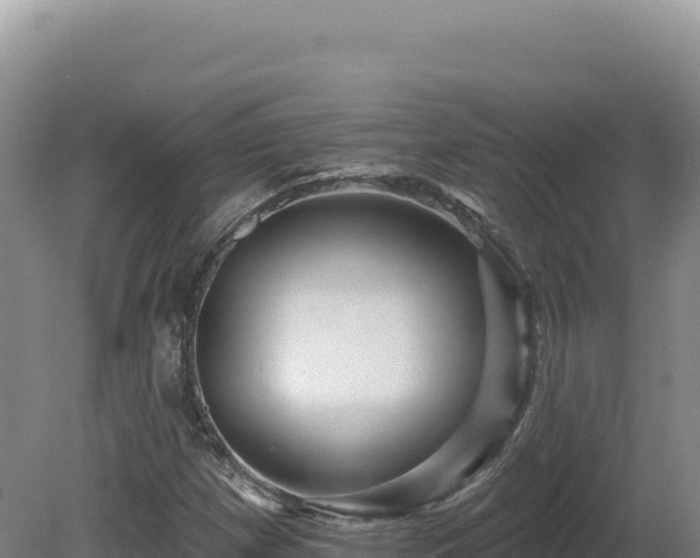 X0000081461257200701191731