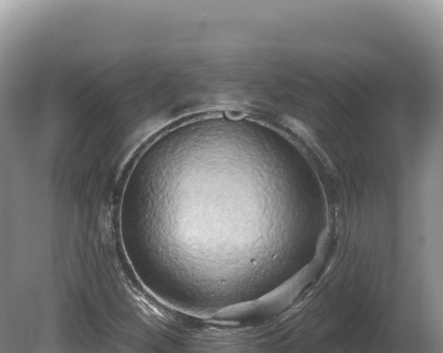 X0000081461260200701191730