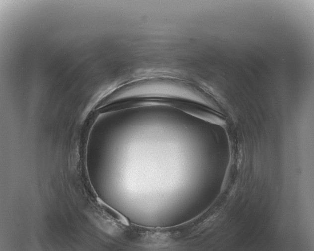 X0000081461261200701191730