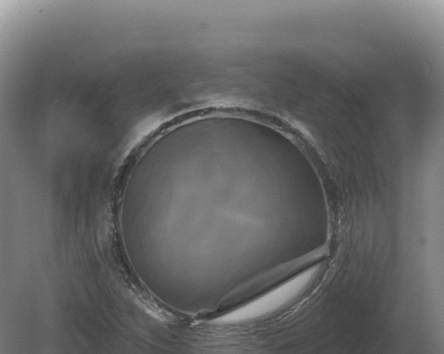 X0000081461263200701191730