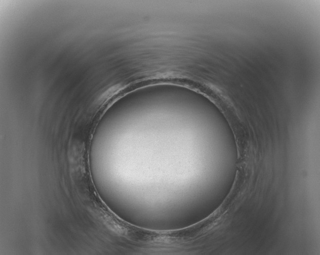 X0000081461265200701191730