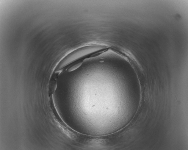X0000081461268200701191730