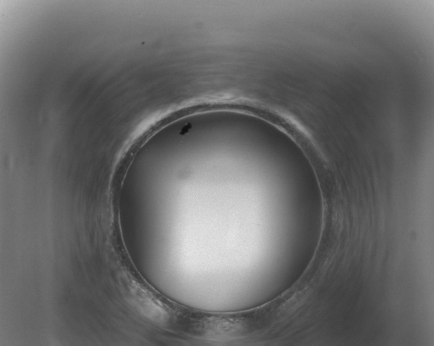 X0000081461270200701191730