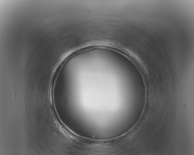 X0000081461272200701191730