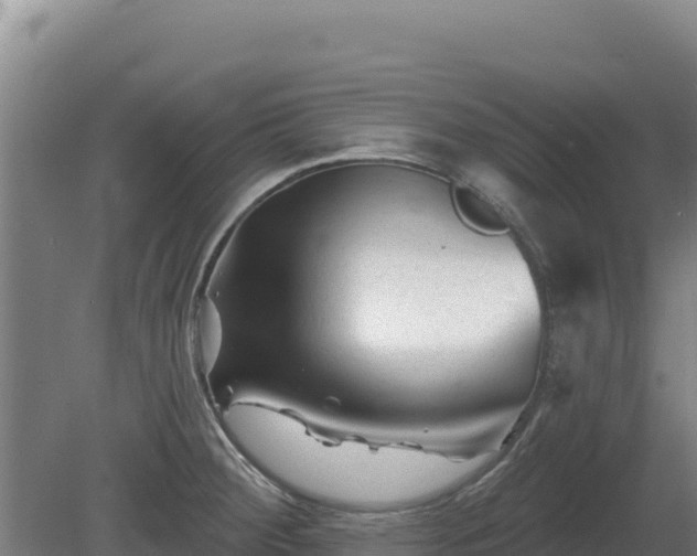 X0000081461284200701191730