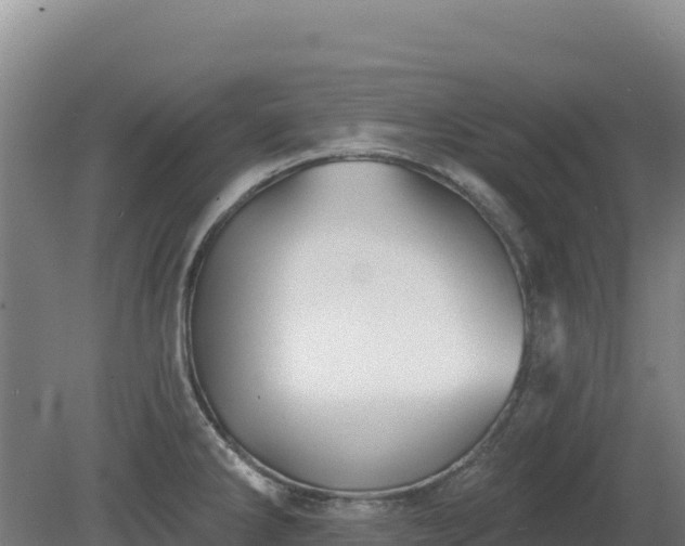 X0000081461286200701191730