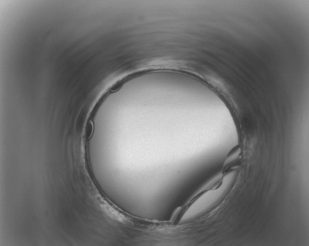 X0000081461288200701191730