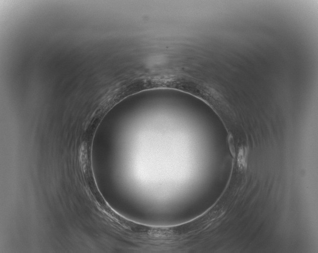 X0000081461299200701191729
