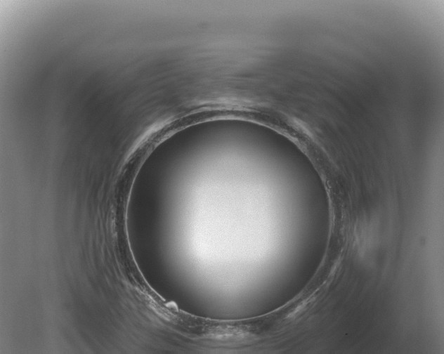 X0000081461307200701191729