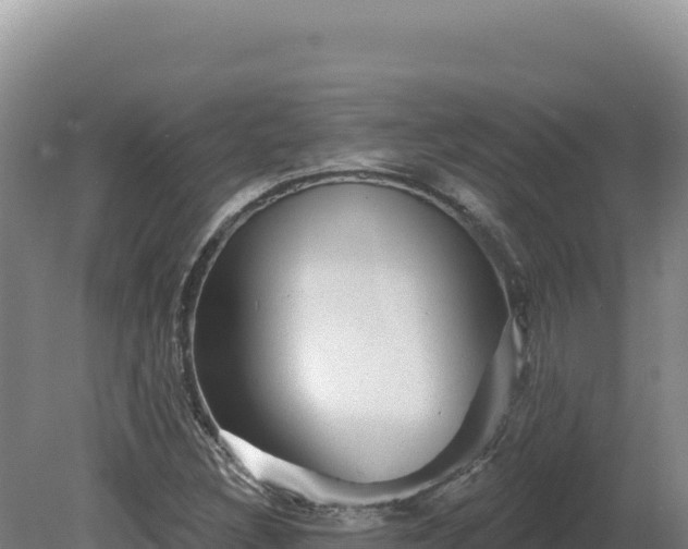 X0000081461308200701191729