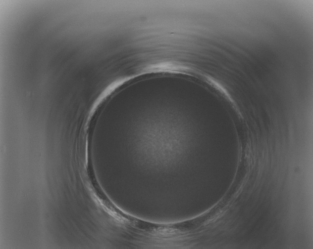 X0000081461323200701191730