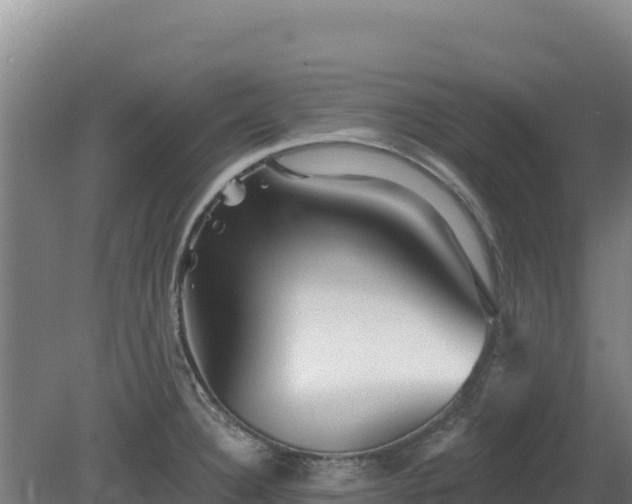 X0000081461332200701191730