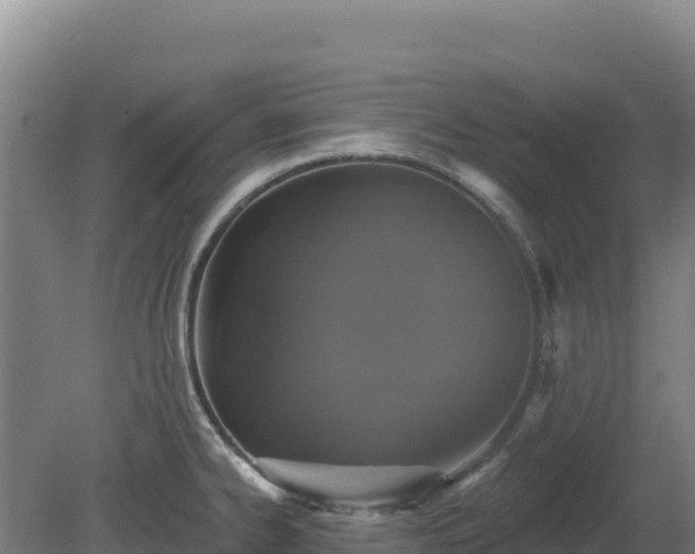 X0000081461334200701191730